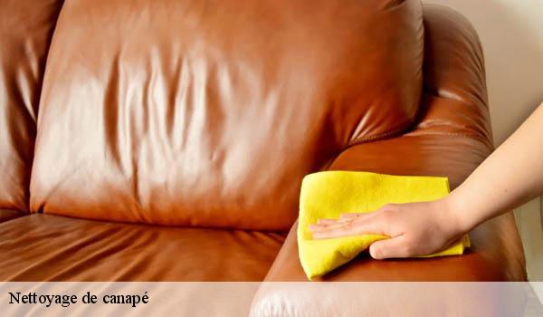Sofa Clean - SOFA CLEAN  Nettoyage de canapé tissu à Grasse 06