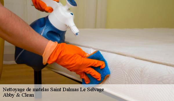 Nettoyage de matelas saint-dalmas-le-selvage-06660 Abby & Clean
