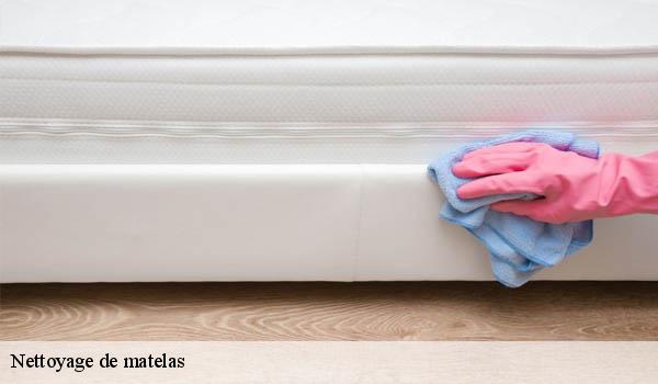 Nettoyage de matelas peira-cava-06440 Abby & Clean