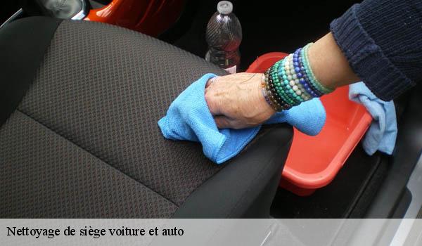 Nettoyage de siège voiture et auto consegudes-06510 Abby & Clean