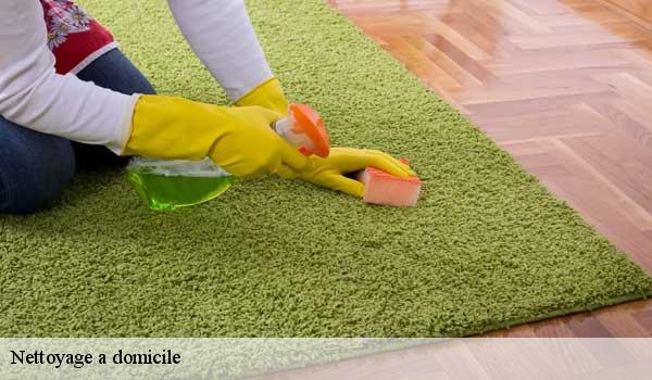 Nettoyage a domicile nice-06000 Abby & Clean