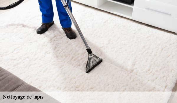 Nettoyage de tapis bezaudun-les-alpes-06510 Abby & Clean